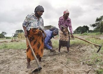 Kansaneläke on Mosambikissa Afrikan pienin, noin neljä euroa kuussa.