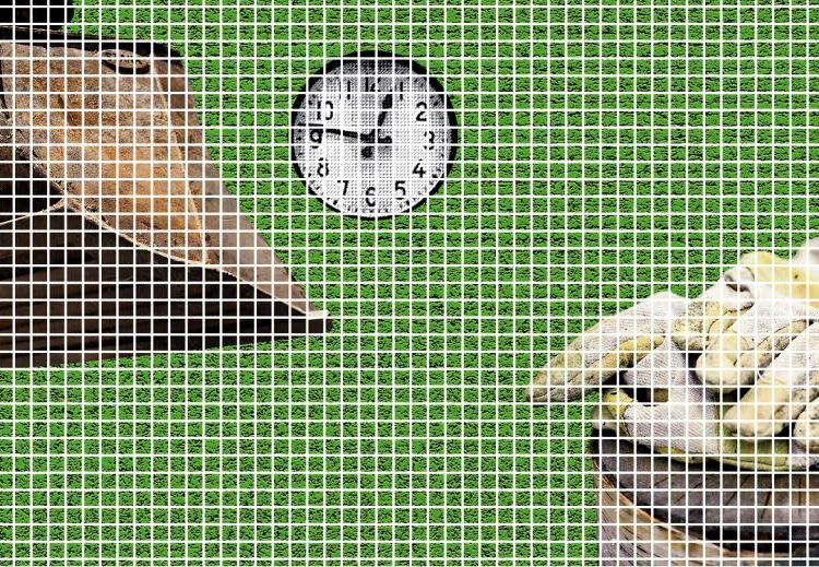 Nollatuntisopimuksista keskustellaan eduskunnassa tänään kyselytunnin jälkeen kello 17.