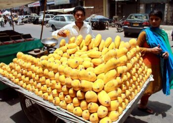 Mangokauppias Pakistanin Karachissa. Jos tämäkin katukauppias olisi saanut mangonsa suoraan kasvattajalta, molempien tulot olisivat suuremmat ja asiakas saisi mangonsa tuoreempina.