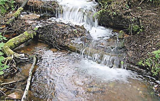 Virttaankankaan harjulähteistä virtaa kaksi miljoonaa litraa vettä vuorokaudessa.