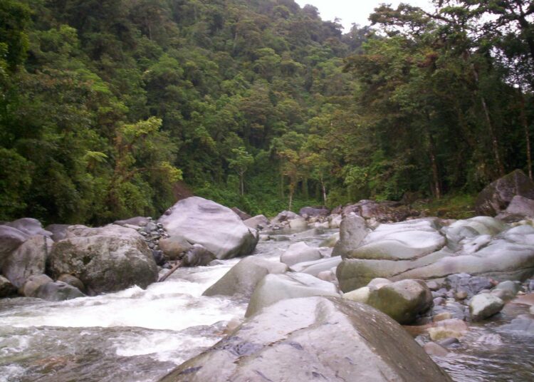 Costa Rica pitää kaunista luontoa, vakautta ja turvallisuutta valtteinaan. Kuva Orosijoelta Tapantin kansallispuistossa.
