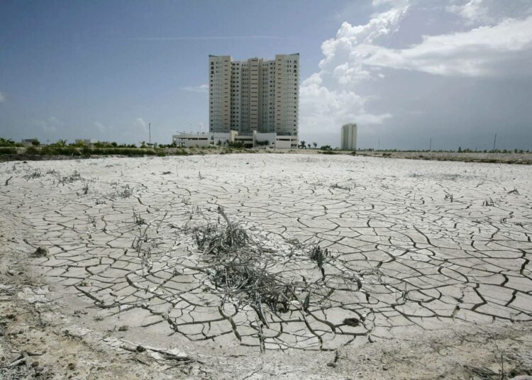 Kallis asuntoalue sijaitsee nyt Cancúnissa paikalla, jossa ennen oli mangrovemetsikköä.