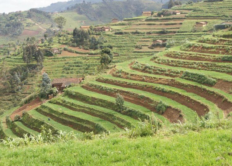 Ruanda on pieni, vain 12 miljoonan asukkaan valtio, mutta sen jäsenyys Itä-Afrikan yhteisössä tarkoittaa osallisuutta noin 100 miljoonan ihmisen markkina-alueeseen.