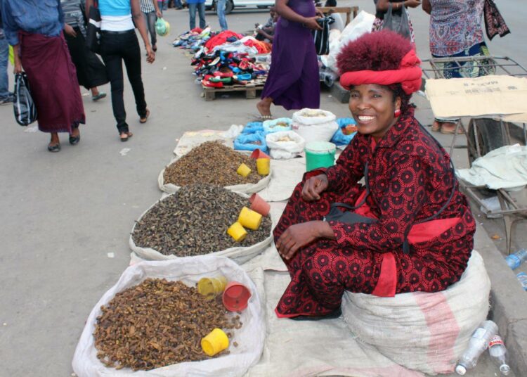 Sambialainen Dorothy Chisa myy torilla toukkia, jotka ovat paikallisten keskuudessa suosittu proteiinipitoinen herkku. Se on perinneruokaa, jolla voi olla tulevaisuutta muillakin mantereilla.