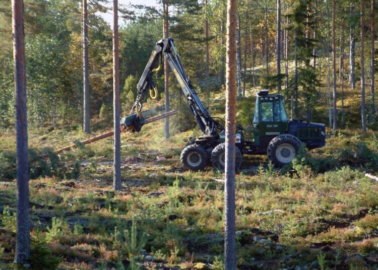 Ainut lääke metsäalaa vaivaavan kausiluonteisuuden poistamiseksi on raakapuun korjuumäärien tuntuva lisääminen kotimaassa.