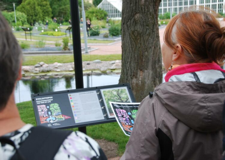 Kaisaniemen kasvitieteellisessä puutarhassa voi tutustua kasvien evoluutioon.