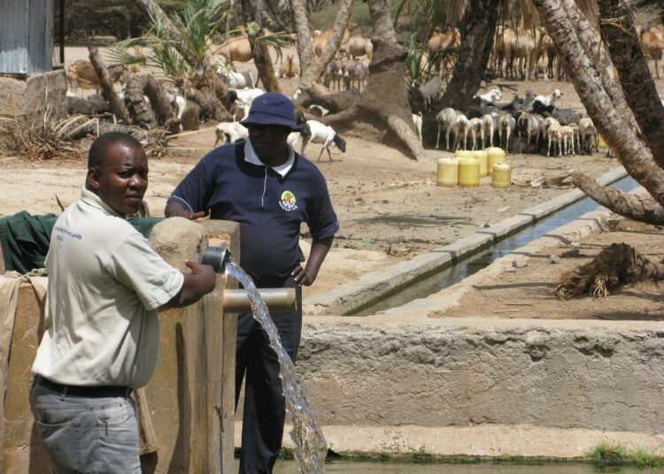 Kalachan kylän asukkaat Koillis-Keniassa Chalbin autiomaan laidalla hyödyntävät harvinaista luonnonlähdettä keinokastelussa. Sen avulla pystytään kasvattamaan karjalle rehua.
