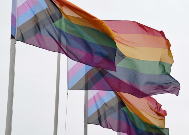 Aito perhemyönteisyyttä vasemmistoliiton mukaan on se, että lainsäädäntö tunnustaa perheiden moninaisuuden ja lasten oikeuden vanhempiinsa riippumatta heidän sukupuoli-identiteetistä, seksuaalisesta suuntautumisesta tai perheiden kokoonpanosta.