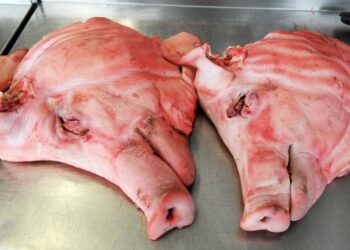 Sianpää on makoisaa ruokaa.