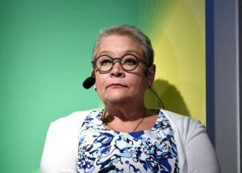Yksityisten palvelualojen suurliiton, SAK:laisen Palvelualojen ammattiliiton PAMin puheenjohtaja Ann Selin on kyseenalaistanut teollisuuden palkankorotuslinjan.