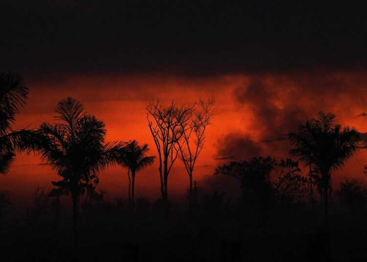 Amazonin sademetsää Brasiliassa tuhoutui tulipaloissa valtavat määrätä viime kesänä.
