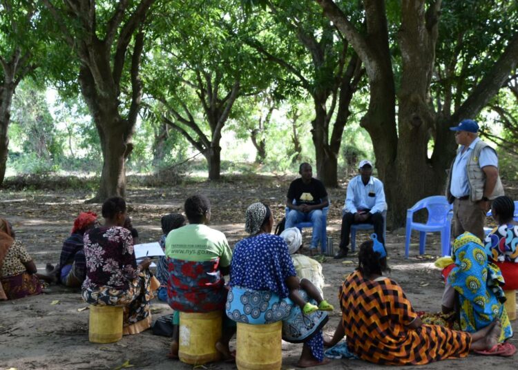 Ryhmä yhteisön jäseniä kokoontuu African Beekeepers Limitedin tilojen ulkopuolella Kenian Tana-joen suistoalueella keskustelemaan mehiläishoidon liiketoiminnasta.