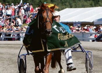 Viestaus seppelöitiin Pikkukunkun sankariksi vuonna 2008.