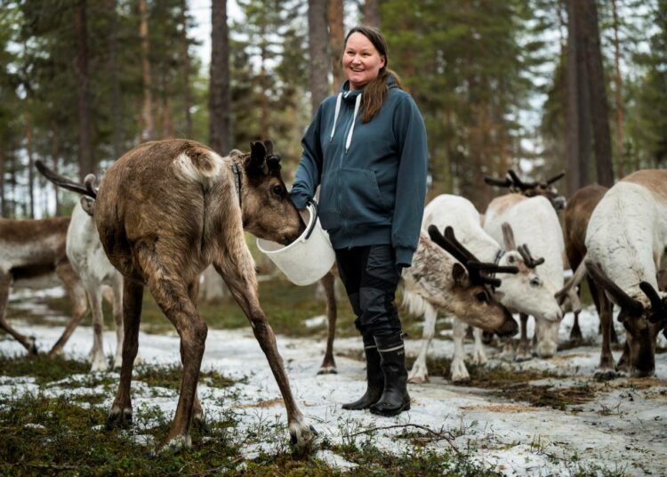 Lapin liiton maakuntajohtaja Mika Riippi ei usko radan paluuseen tulevaisuudessa.