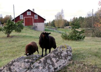 Pitääkö koko Suomi pitää asuttuna on kysymys jota ehdokkailta kysytään.