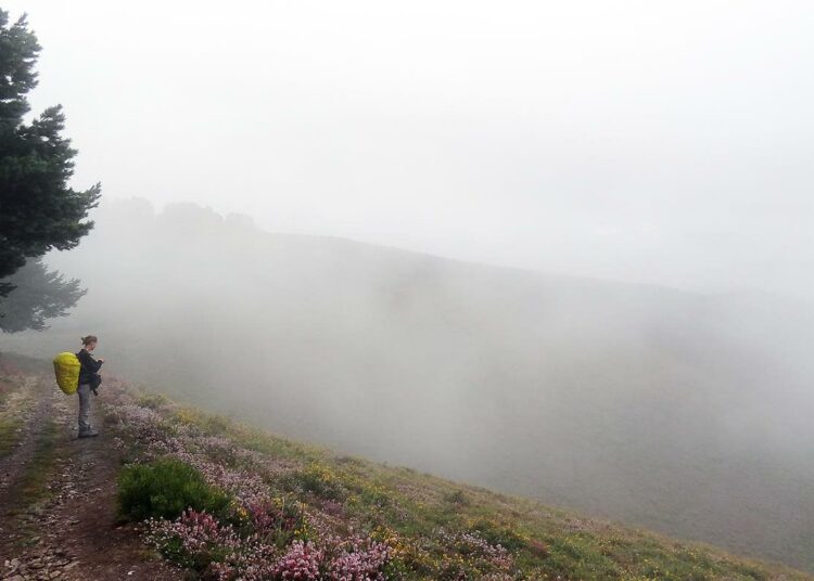 Camino Norten reitti kohoaa korkeimmillaan 1¿200 metrin korkeuteen Cantabrian vuorilla.