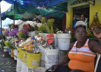 Haitissa syntynyt Antonia Abreu on myynyt 40 vuotta kukkia Pikku-Haitiksi kutsutulla alueella Dominikaanisen tasavallan pääkaupungissa Santo Domingossa.