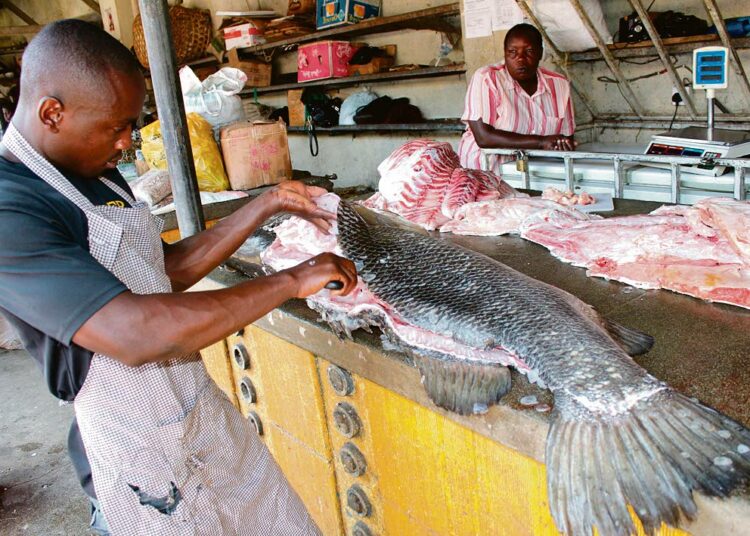 Kalakauppias perkasi 47-kiloista niilinahventa Nakurun kaupungin kauppatorilla Keniassa.