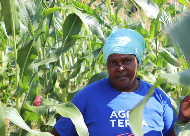 Halima Elias Mtwethe kuuluu niihin pienviljelijöihin, jotka ovat saaneet maatalouslainan SACCOSilta.
