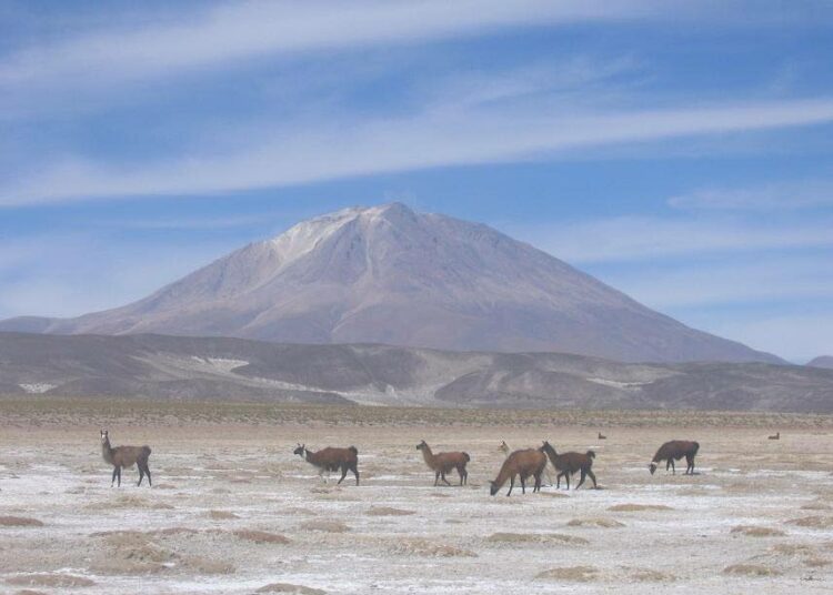 Yli 10 000 neliökilometrin laajuinen Salar de Uyuni on maailman suurin suolatasanko. Siellä sijaitsevat Bolivian litiumvarat.