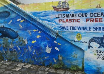 Seinämaalaus esittää uhanalaista valashaita, jota esiintyy Intian rannikoilla. Keralassa kalastajien havainnot ja saaliit johtivat Pelastakaa valashai-kampanjaan, johon osallistuivat sekä kalastajat että viranomaiset.