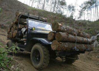 Puuta kuljetetaan Bromo Tenggerin kansallispuistossa Lumajangissa, Indonesian Jaavalla.