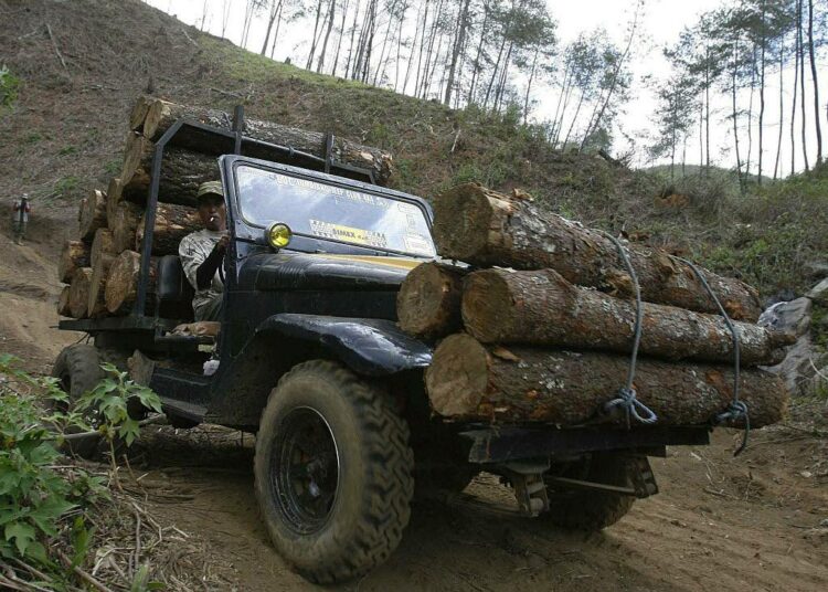 Puuta kuljetetaan Bromo Tenggerin kansallispuistossa Lumajangissa, Indonesian Jaavalla.