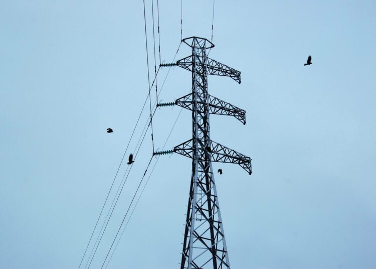Tukkusähkön hinnan alennus ei välttämättä näy sähkölaskussa. Siihen vaikuttavat myös verot ja sähkön siirtohinta.