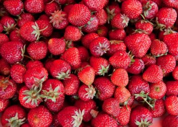 Tänä kesänä helteet ovat kypsyttäneet mansikat aromikkaiksi ja makeiksi.