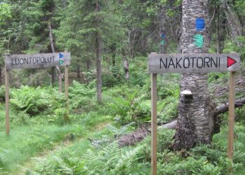 Paljakan luonnonpuistoalue on etelästä Pohjois-Suomeen tultaessa ensimmäinen iso luonnonmetsäalue.