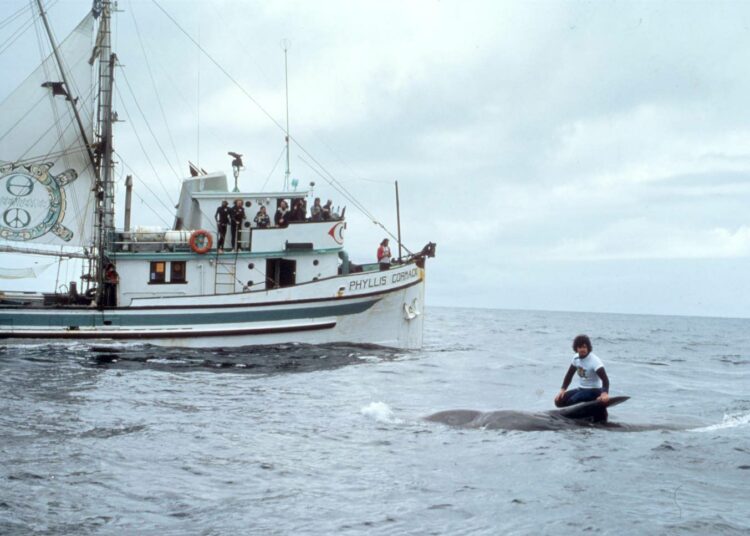 Joukko nuoria kanadalaisaktivisteja protestoi vuonna 1971 Yhdysvaltain ydinkokeita vastaan Alaskassa. Myöhemmin he loivat järjestön, joka sai nimekseen Greenpeace.