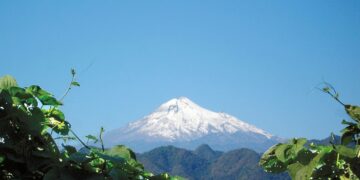 5636 metriä korkea Pico de Orizaba -vuori kohoaa ylämaan pilvimetsän yläpuolelle Veracruzissa Meksikossa. Kosteassa trooppisessa pilvimetsässä kasvaa yli kymmenen prosenttia Meksikon kasvilajeista, vaikka se on pinta-alaltaan vain 0,8 prosenttia maan pinta-alasta.