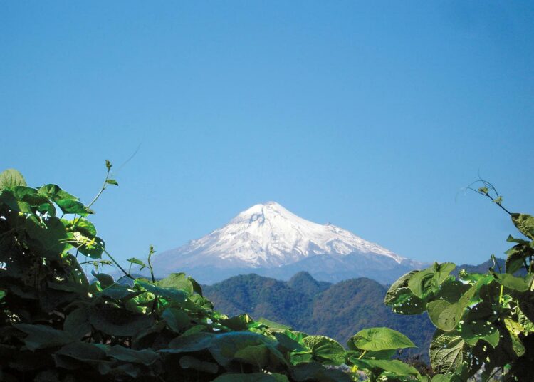 5636 metriä korkea Pico de Orizaba -vuori kohoaa ylämaan pilvimetsän yläpuolelle Veracruzissa Meksikossa. Kosteassa trooppisessa pilvimetsässä kasvaa yli kymmenen prosenttia Meksikon kasvilajeista, vaikka se on pinta-alaltaan vain 0,8 prosenttia maan pinta-alasta.