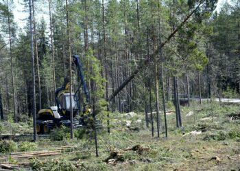 Teollisuusliitto harmittelee, että vähemmälle keskustelulle on jäänyt se, kuinka Suomessa metsienhoito ja puunkorjuu käytännössä tapahtuvat ja kuinka työt organisoidaan.