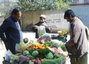 Monet afgaanipakolaiset Pakistanissa ovat henkilöpapereiden ja viisumien puutteen vuoksi virallisten työmarkkinoiden ulkopuolella. He tekevät satunnaisia töitä esimerkiksi kotiapulaisina tai vihannesten katukauppiaina.
