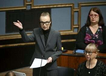 Kansallinen lisäsääntely on tarpeetonta ja erityisen haitallista matalan kasvun olosuhteissa, sanoo vasemmistoliiton puheenjohtaja Minja Koskela.