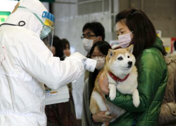 Naisen ja koiran radioaktiivisuutta mitattiin keskiviikkona Korijaman kaupungissa Fukushiman maakunnassa.