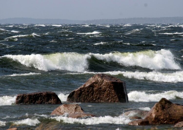 – Hyvinvoiva Itämeri on myös talouden etu, WWF Suomen meriohjelman päällikkö Sampsa Vilhunen sanoo.