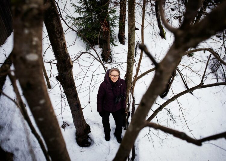 Tytti Kontula huomauttaa, että luonnon heikkoa tilaa ei välttämättä havaitse, jos ei ole vertailukohdetta monimuotoiseen ympäristöön.