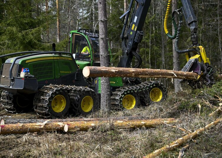 Metsäkatoasetuksen lykkääminen tarkoittaa lisää hakattuja metsähehtaareja.