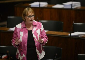 Vasemmistoliiton eduskuntaryhmän puheenjohtaja Annika Lapintie.