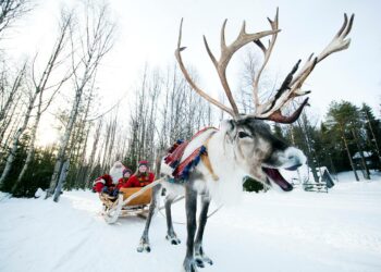 Ulkomaiset turistit hakevat Lapista aitoa joulun tunnelmaa ja yhteistä tekemistä perheelle.