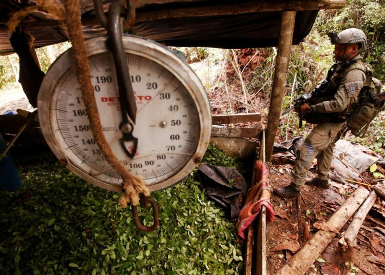 Armeijan operaatiossa toukokuussa tuhottiin kokaviljelmiä Tumacon alueella. Kaikista toimista huolimatta kokapensaan viljelyala on Kolumbiassa vain kasvanut.