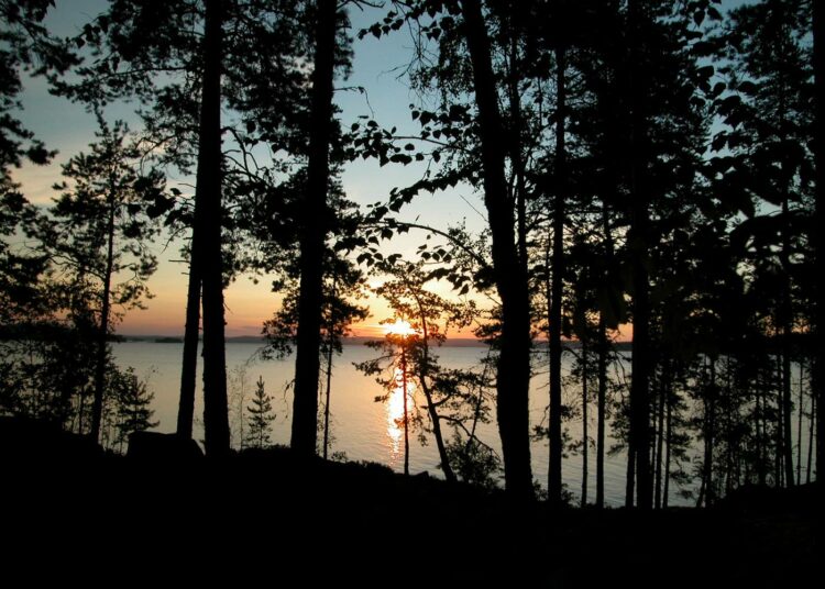 Luonnon suojeleminen ja luonnon monimuotoisuuden vaaliminen on ilmaston lämpenemisen rinnalla tärkeä edellytys kestävälle taloudelle.