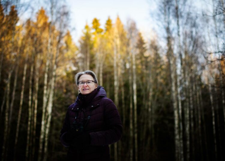 Pölyttäjäeläinten kriisi mietityttää Kontulaa. On mahdollista, että tulevaisuudessa pölyttäjäeläinten kato vaikuttaa merkittävästi ihmisen ruokaturvaan.