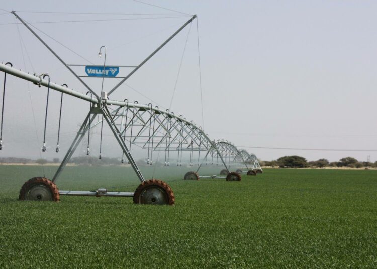 AGRA suosii suuryrityksiä ja teollisen mittakaavan maataloutta, joten pienviljelijät eivät hyödy sen tukemasta ”vihreästä vallankumouksesta”. Kuvassa kastellaan peltoa Etelä-Afrikan Kakamasissa.