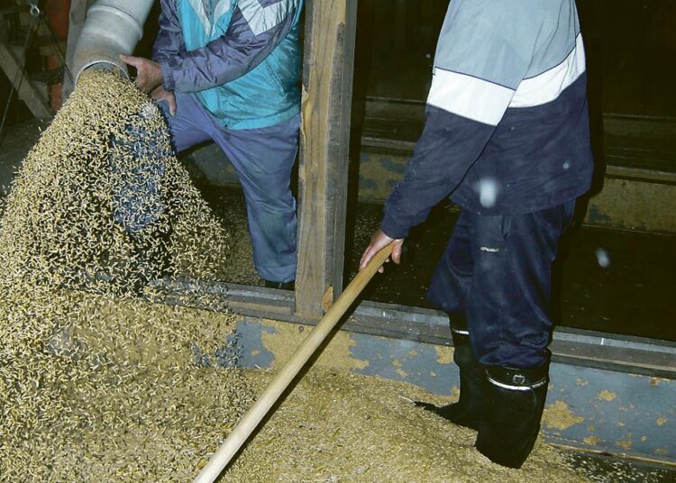 Mauri Nieminen (vas.) oli seuraamassa, kun maanviljelijä Seppo Lampinen kuivasi kauraa pienviljelijäyhdistyksen rakentamassa kuivurissa.