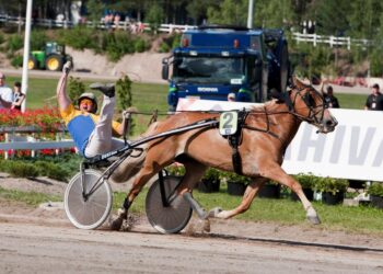 Pertti Puikkosen valmentama I.P. Vipotiina putsasi pöydän.