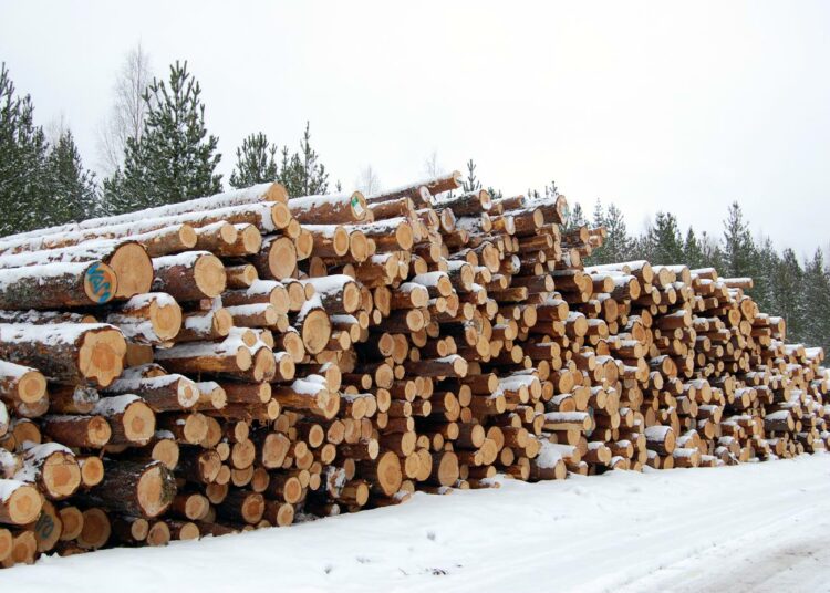 Suomi elää edelleen varsin suurelta osin metsästä, mutta puu ei liiku, jos tiet eivät kestä.