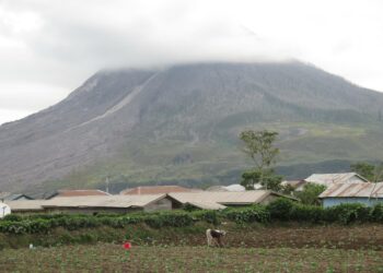 Viljelijöiden elämä on arvaamatonta Sinabung-tulivuoren juurella Indonesian Sumatralla. Vuori on ollut aktiivinen vuodesta 2010.